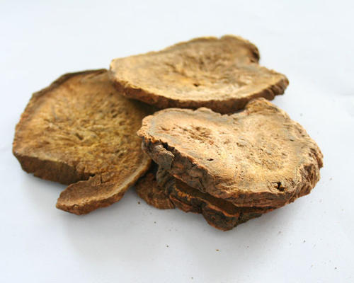 你把握黄连吗？黄连有哪些种类及作用